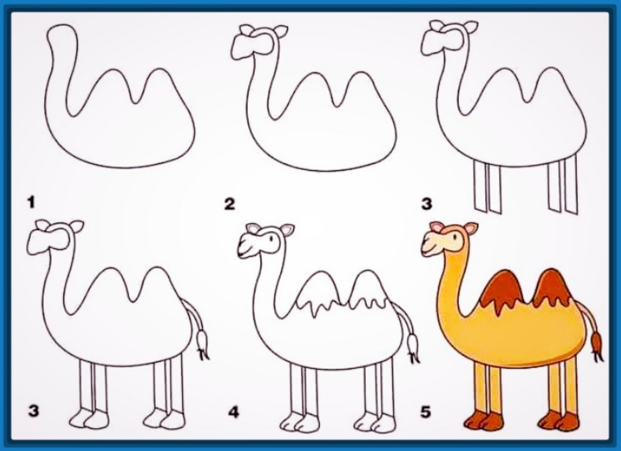 Поэтапное рисование верблюда для дошкольников